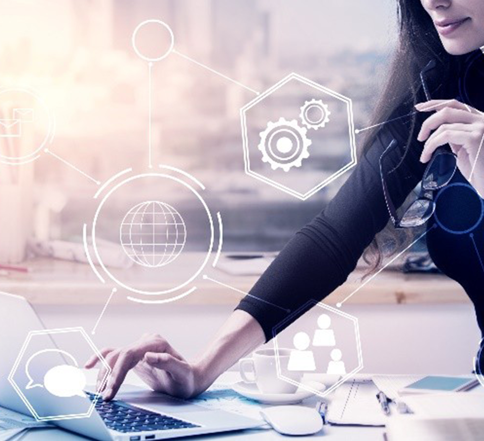 Custom Web Development